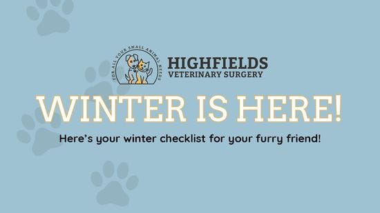 Winter Pet Health: Keeping Your Furry Friends Safe and Comfortable!